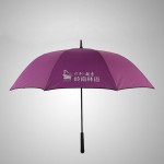 自動(dòng)商務(wù)傘超大高爾夫傘加固雙層抗風(fēng)戶(hù)外超大雨傘男士長(zhǎng)柄雙人傘