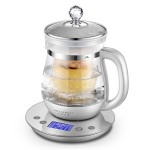 生活元素燕窩壺燉盅多功能養(yǎng)生壺自動加厚玻璃家用燒水壺煮茶器