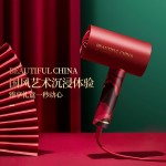 艾優(yōu)Apiyoo×北京故宮文創(chuàng)  負(fù)離子吹風(fēng)機