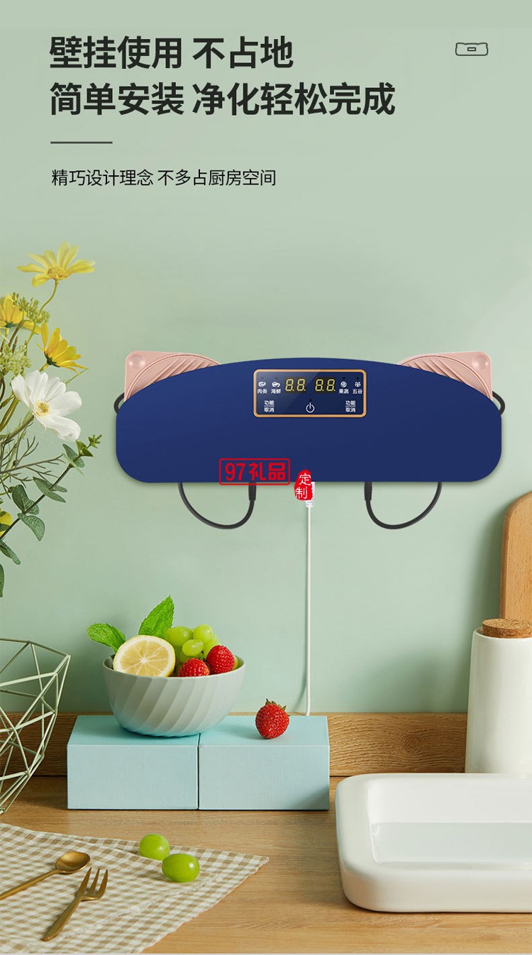 多功能水果蔬農殘凈化器 果蔬清洗凈化器