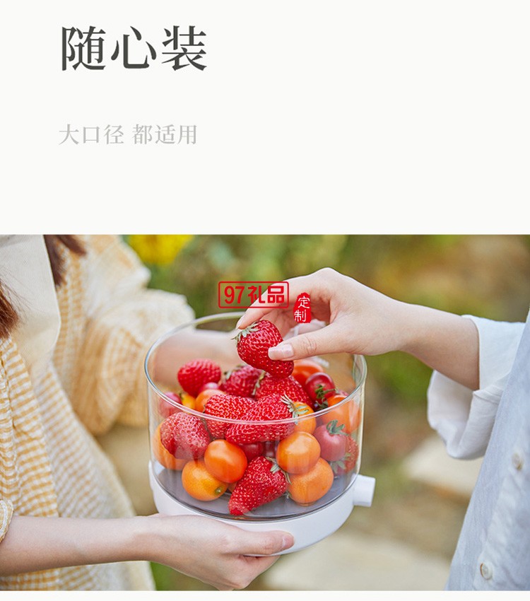 養(yǎng)生鍋煲湯電鍋電煮鍋多功能鍋燕窩燉盅養(yǎng)生壺燉鍋