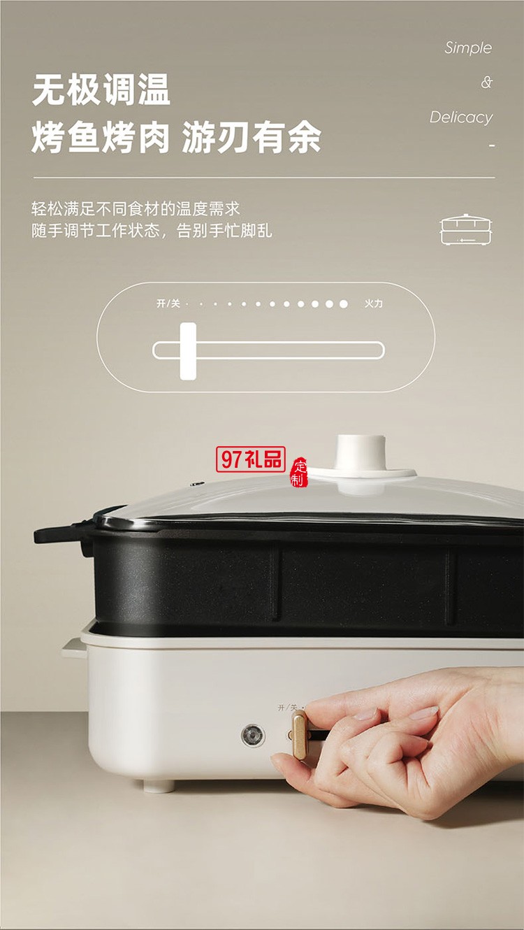 無極調(diào)溫 4L壓鑄鋁大容量深鍋電烤爐